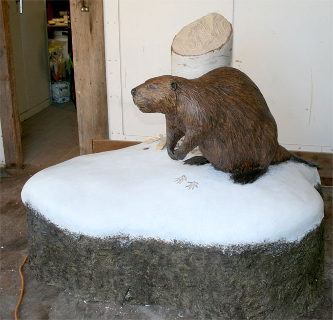 Beaver model prior to installation