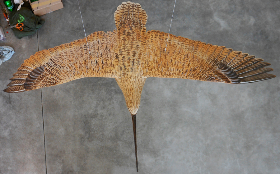 A model of a long-billed curlew