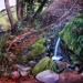 The seasonal spring waterfall mural thumbnail