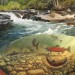 The unique aquatic ecosystem of Little Butte Creek thumbnail
