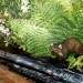 Details of the Sequoia Forest mural. thumbnail