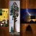 Illustration of a giant sequoia completed by Alumni Exhibits thumbnail