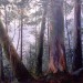 Forest mural thumbnail